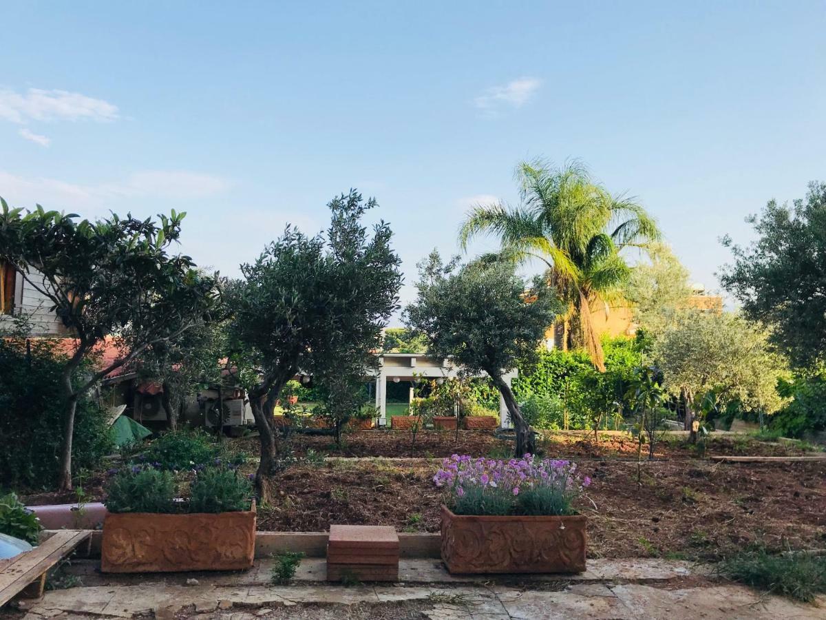 Villa Rosemada, Mondello Palermo Eksteriør bilde
